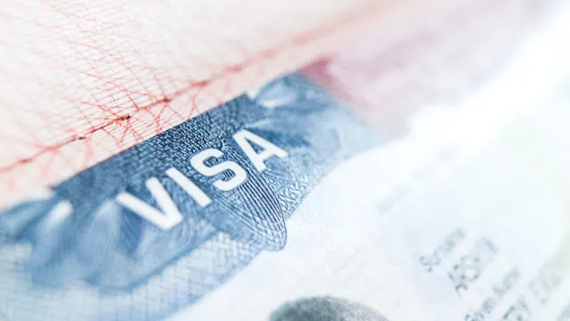 Vize Başvuru Danışmanlığı ve Rehberlik — Vize ve Seyahat hizmeti kapak görseli